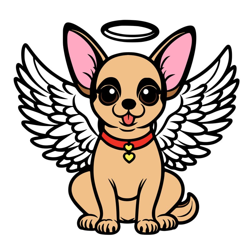 angel dog chiwawa