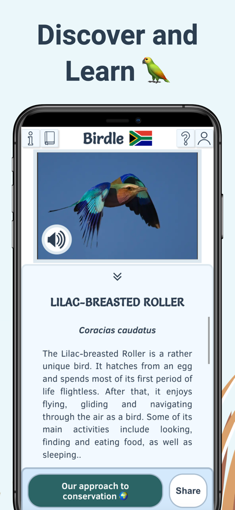 Smartphone displaying the Birdle app with information and a photo of a Lilac-breasted Roller bird