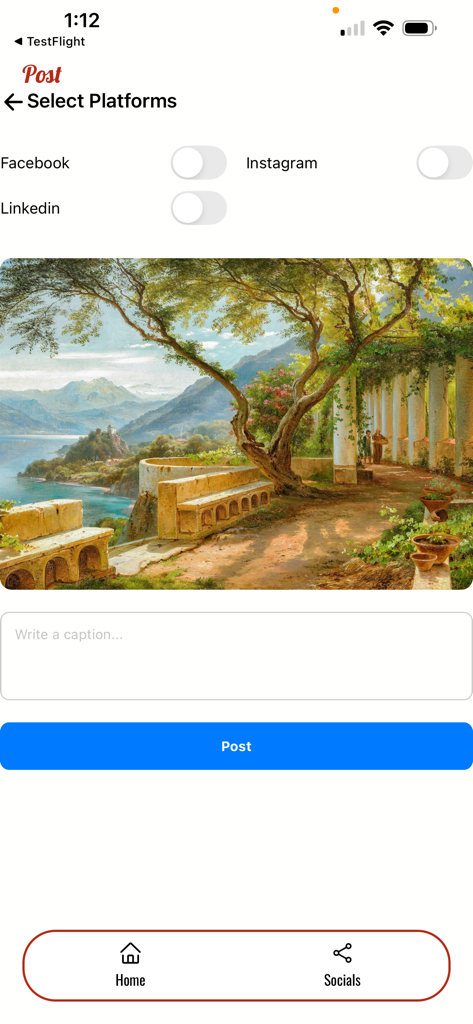 Addictive Design - Selecting social media platforms and writing a caption for a post in the Addictive Design app
