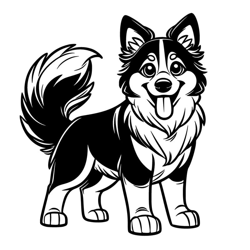 border collie huski mix