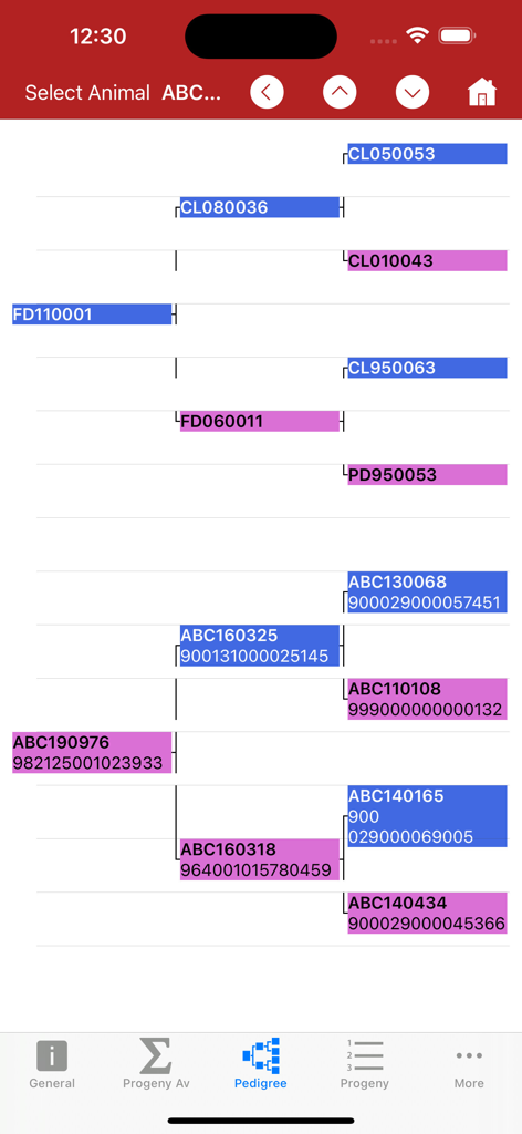 Pedigree tree showing ancestor history and identification numbers for livestock in the BenguFarm Mobile app