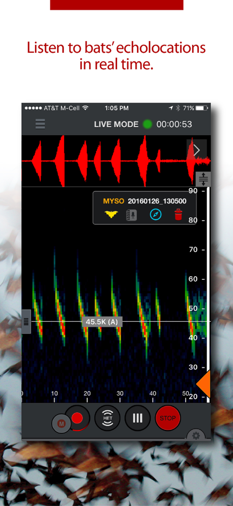 Echo Meter Touch Bat Detector - Una captura de pantalla de la aplicación Echo Meter Touch que muestra un espectrograma de ecolocalización de murciélagos en tiempo real y la identificación de especies