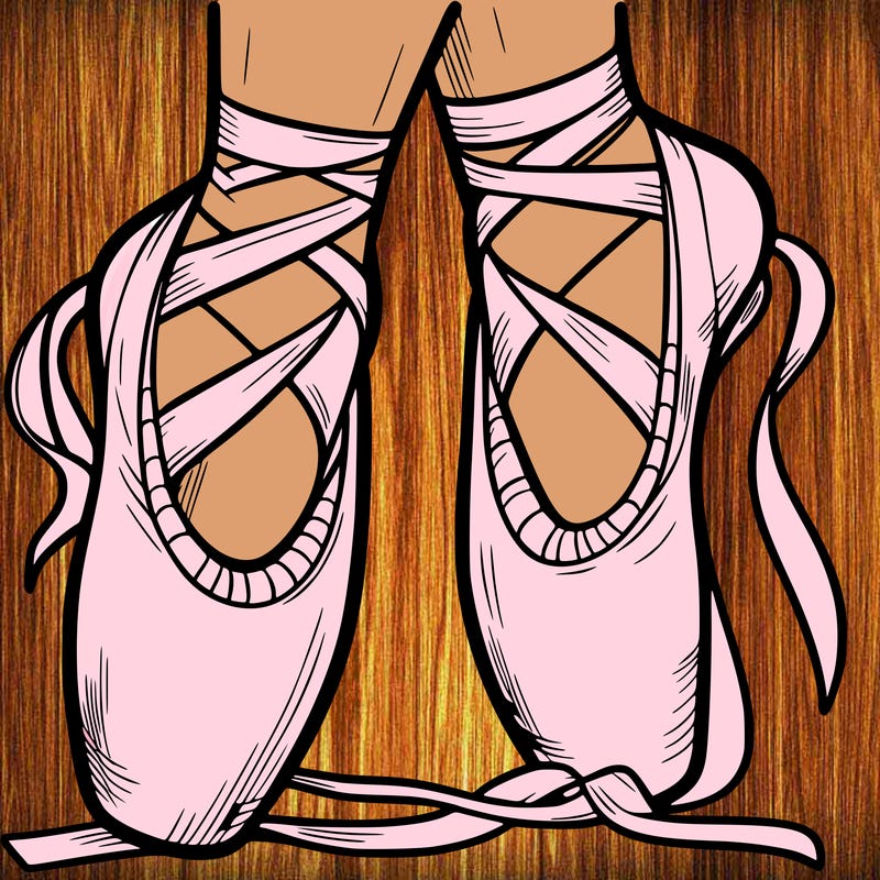 ballet shoes