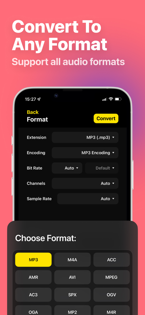 Audio Converter - MP4 to MP3 - Audio converter app interface showing conversion settings for extension encoding and sample rate with a format selection grid