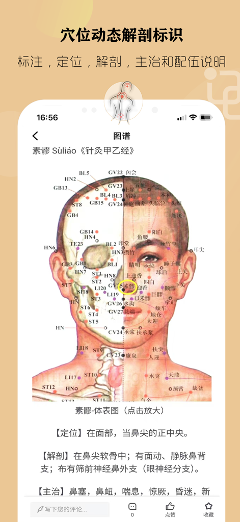 经络穴位养生 - 中医穴位自我按摩治愈 - Anatomische Karte von Akupunkturpunkten im Gesicht mit Beschriftungen und Beschreibungen für die Traditionelle Chinesische Medizin