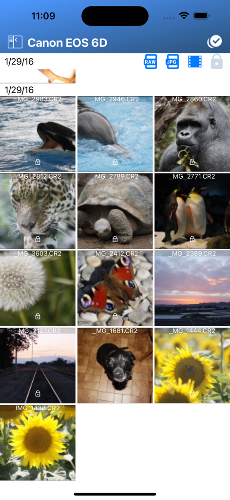 CanonカメラからインポートされたRAWの動物や自然の写真のグリッドを表示するモバイルアプリのインターフェイス
