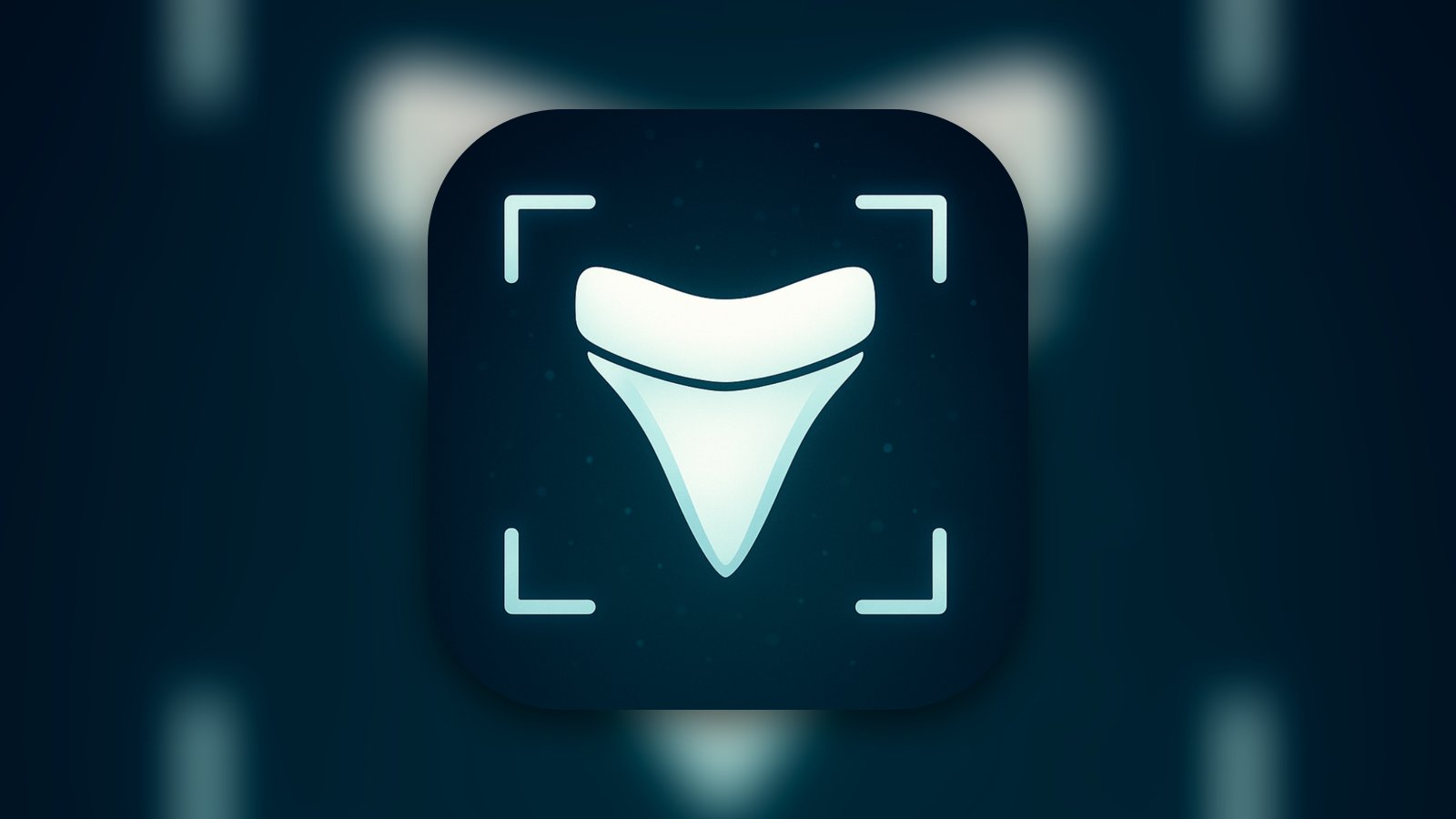 Shark Tooth Identifier: Scan - Reference App | MWM