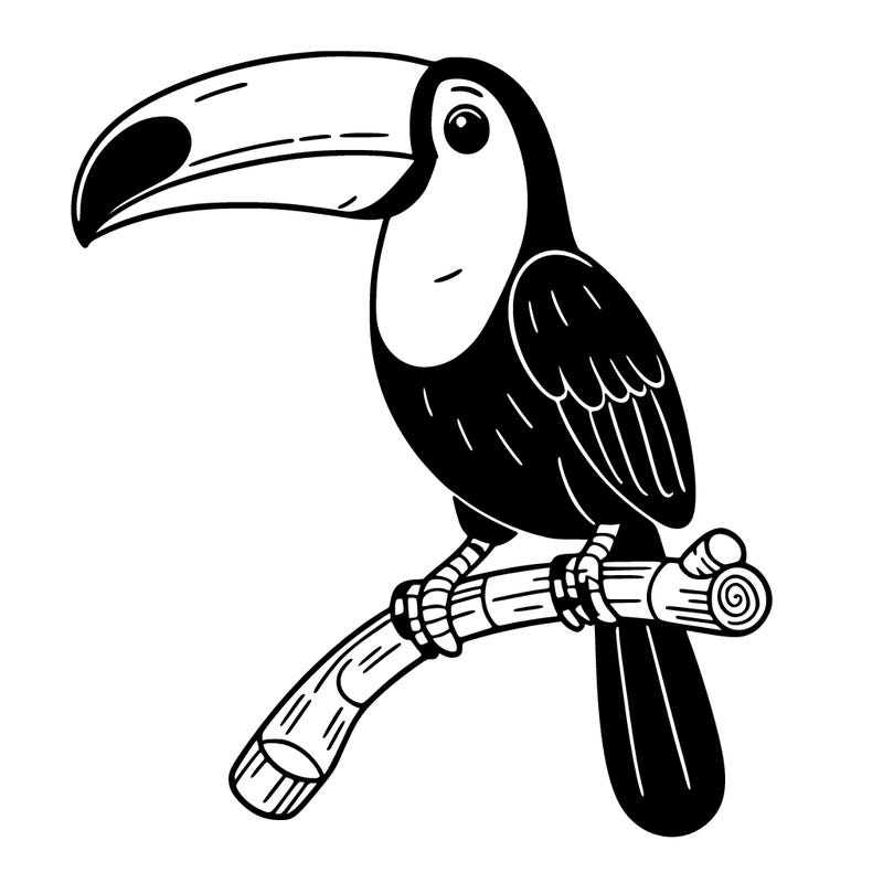 toucan on a branch