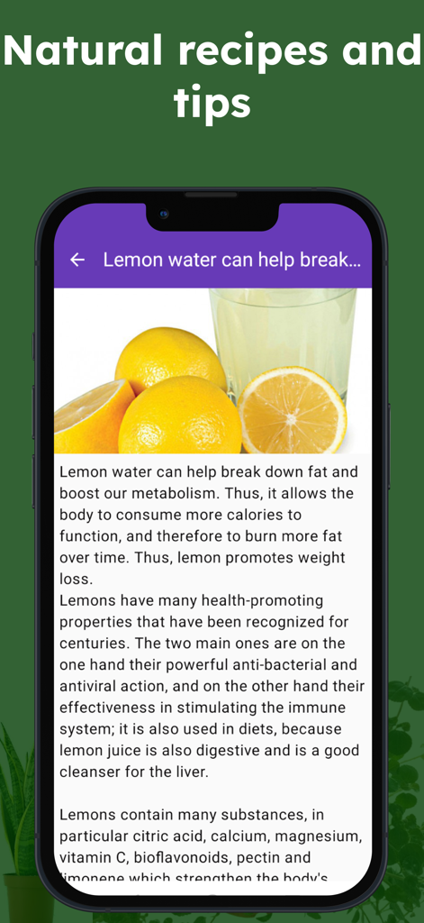 Medicinal herbs identification - Una pantalla móvil de la aplicación de hierbas medicinales que muestra recetas naturales y beneficios para la salud del agua de limón.