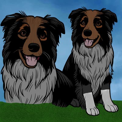 realistic border collie