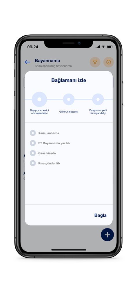 Package tracking screen in the Smart Customs mobile app showing delivery stages