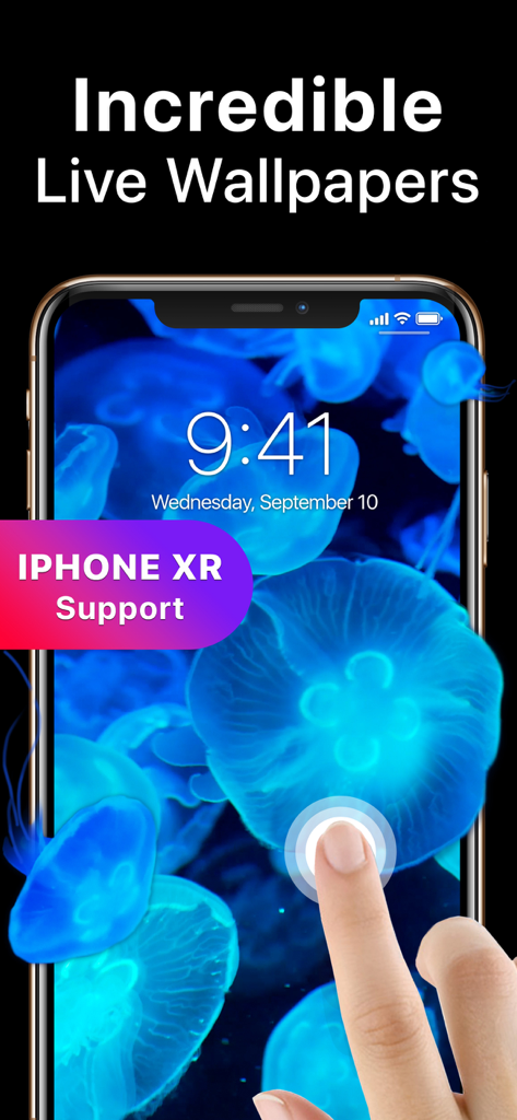 Cool Live Wallpapers Maker 4k - Increíbles fondos de pantalla animados para iPhone con una pantalla de bloqueo de medusa azul compatible con XR