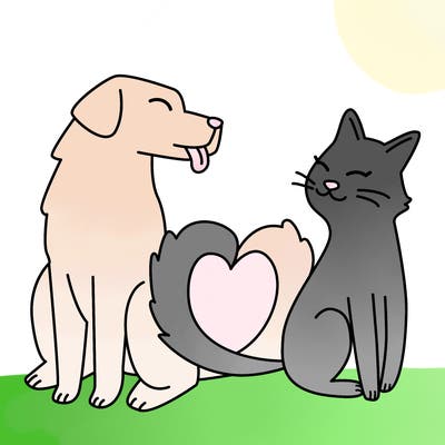 animals_22