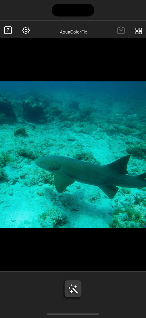 AquaColorFix - Photo & Video - AquaColorFix app interface showing a blue-tinted underwater photo of a shark ready for color correction