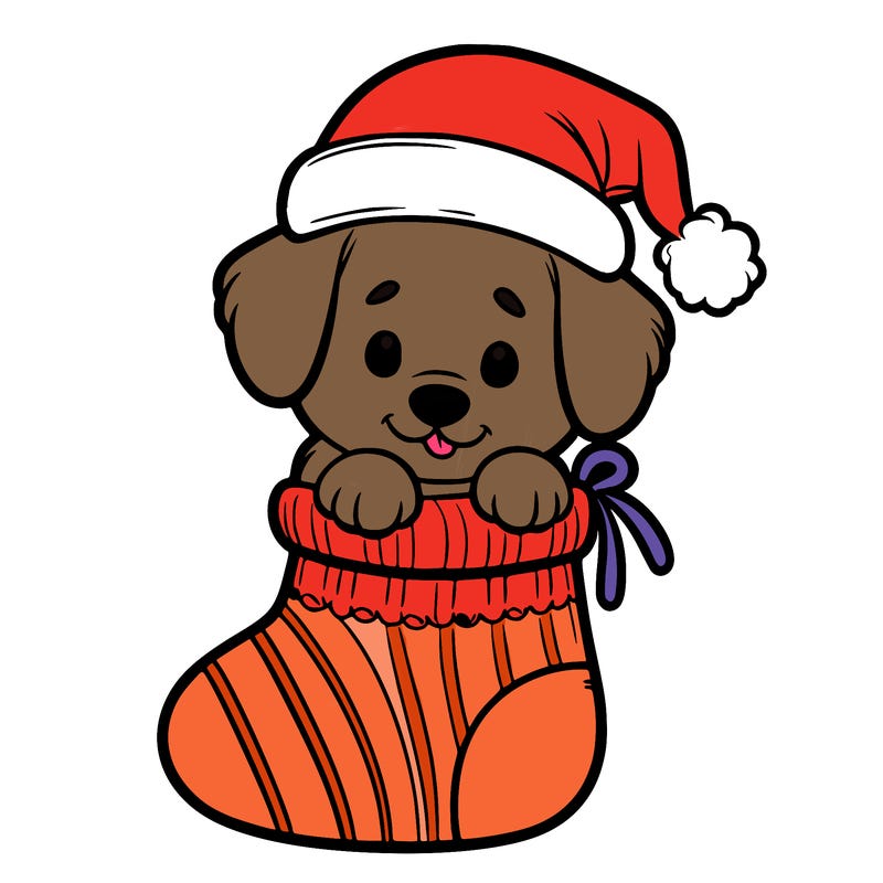 cute puppy wearing santa hat in socking