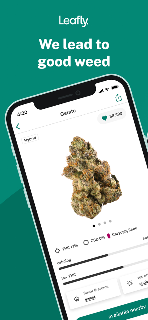 Leafly app interface showing details for the Gelato cannabis strain including THC content and effects.