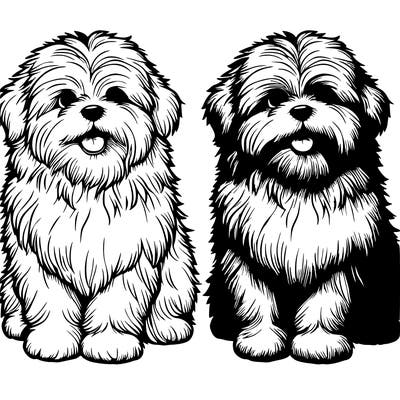 realistic fluffy dog