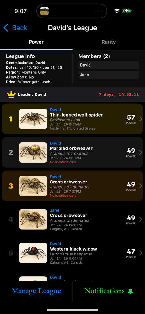 Spider League: Arena - Leaderboard of a spider league competition showing different spider species ranked by power and rarity with user names and capture locations.