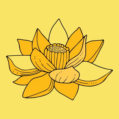 flowers_08