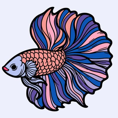 betta fish