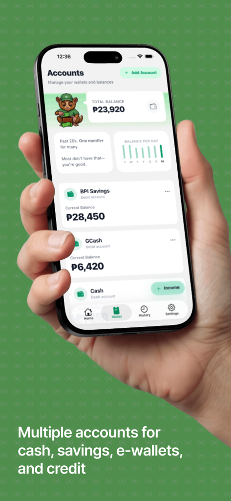 Tarsi - Budget Tracker - A smartphone screen displaying the Tarsi app with multiple accounts for tracking cash savings and e-wallets