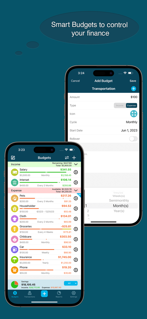 Interface of the Best Budget app showing detailed income and expense categories with progress bars on an iPhone