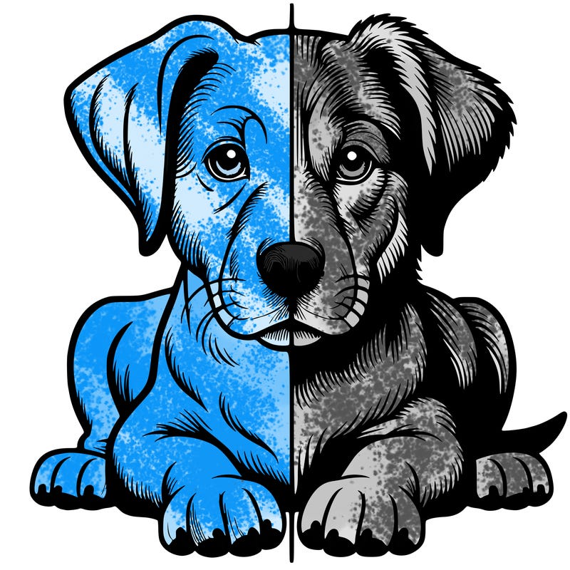 realistic dog split picture