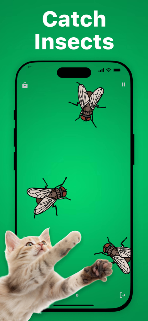 Games for Cats & Kitty - A kitten playing a digital insect catching game on a smartphone with a green background.