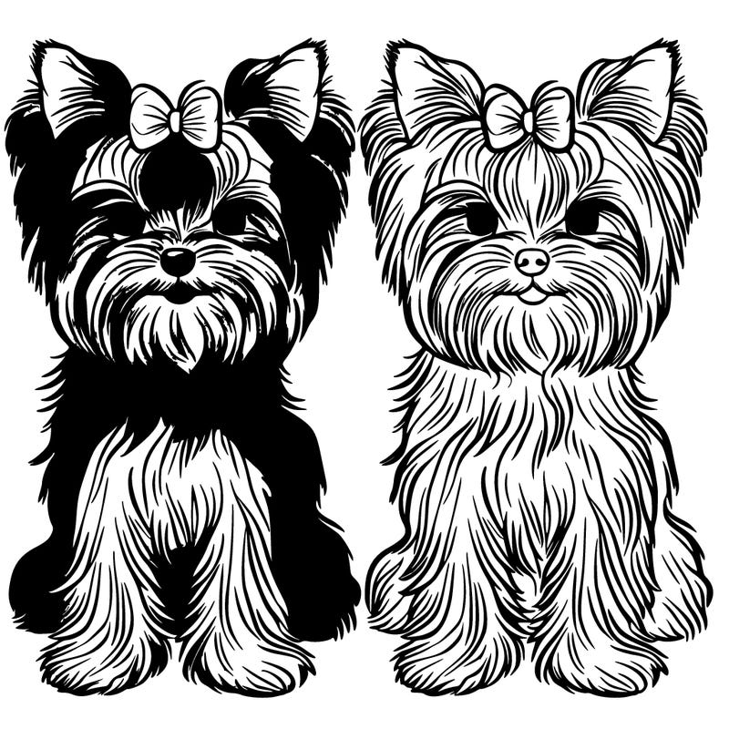 yorkies