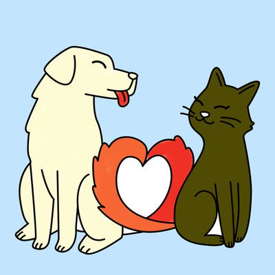 animals_22