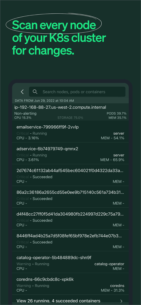 Interface do aplicativo móvel New Relic mostrando nós de cluster Kubernetes e métricas de desempenho de pods.