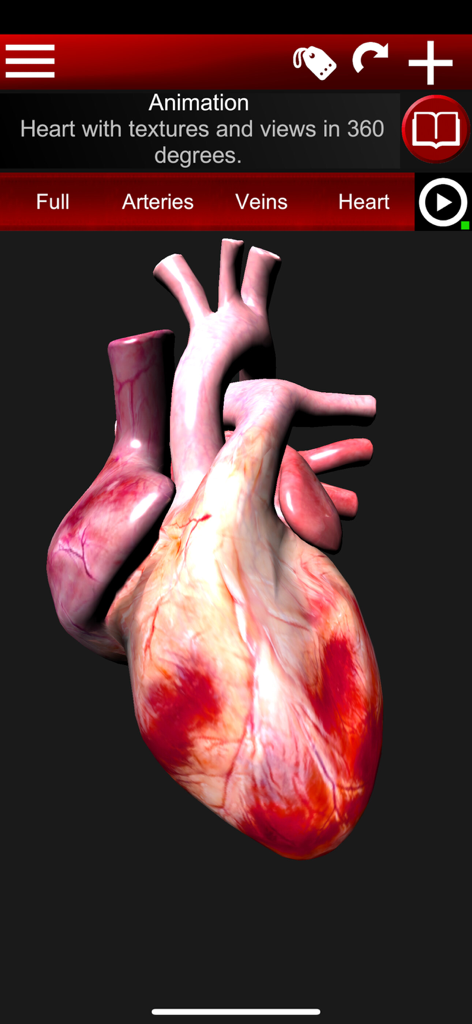 Circulatory System 3D Anatomy - Realistic 3D model of a human heart with detailed textures from the Circulatory System 3D Anatomy app