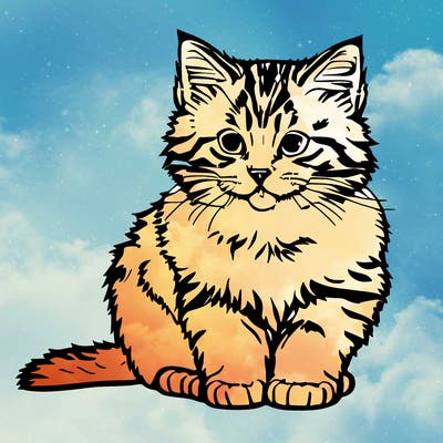 cute fluffy kitten sitting down