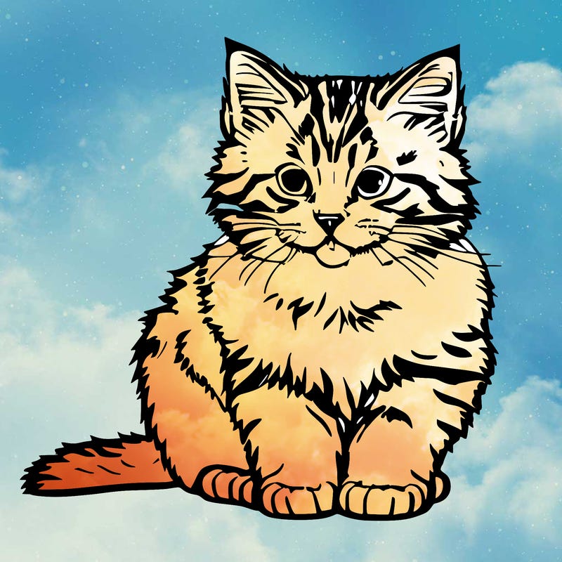 cute fluffy kitten sitting down