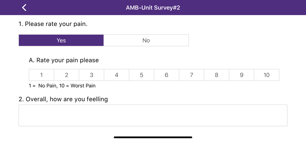 GetWell Rounds plus app interface showing a patient pain assessment survey and feedback field