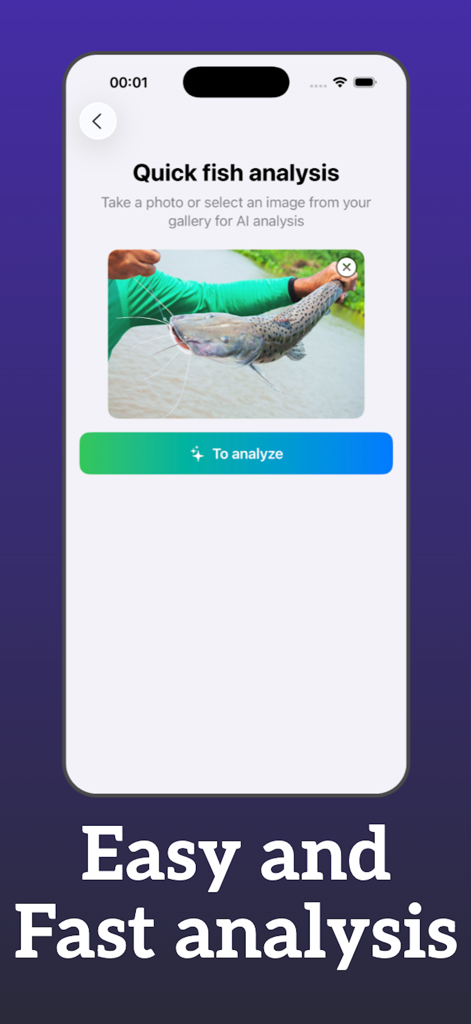 iFished: Fish Verify - Interface de l'application iFished montrant la fonction d'analyse rapide des poissons avec une photo de poisson-chat prête pour l'identification par IA