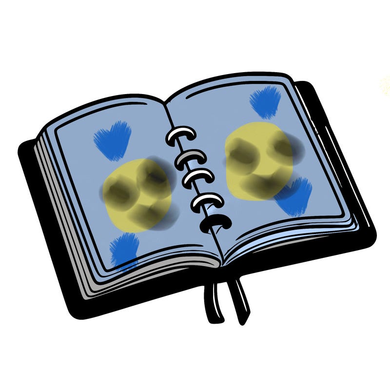 open note book blank