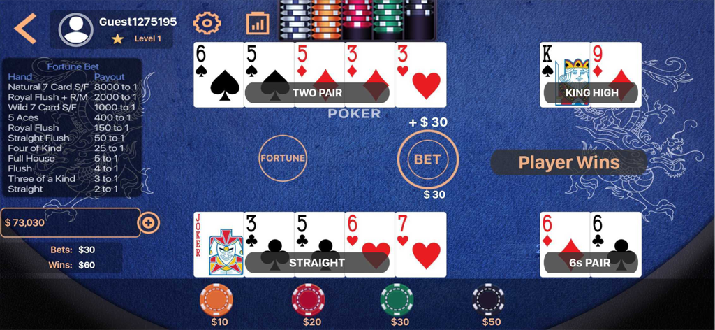 Pai Gow Poker Casino - Gameplay screenshot of Pai Gow Poker Casino showing a winning player hand with a straight and a pair on a blue digital table.
