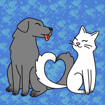 animals_22