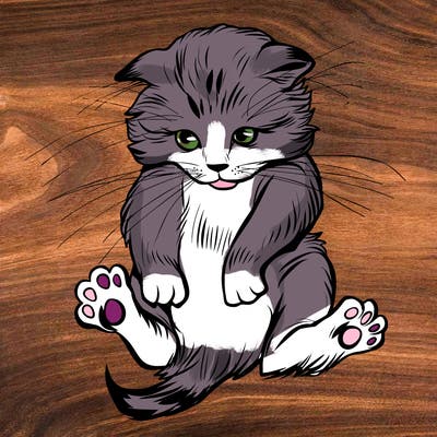 animals_20