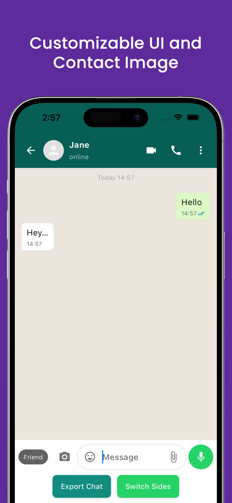 texting story maker-fake chat - Texting Story Maker 앱의 사용자 정의 가능한 가짜 채팅 인터페이스