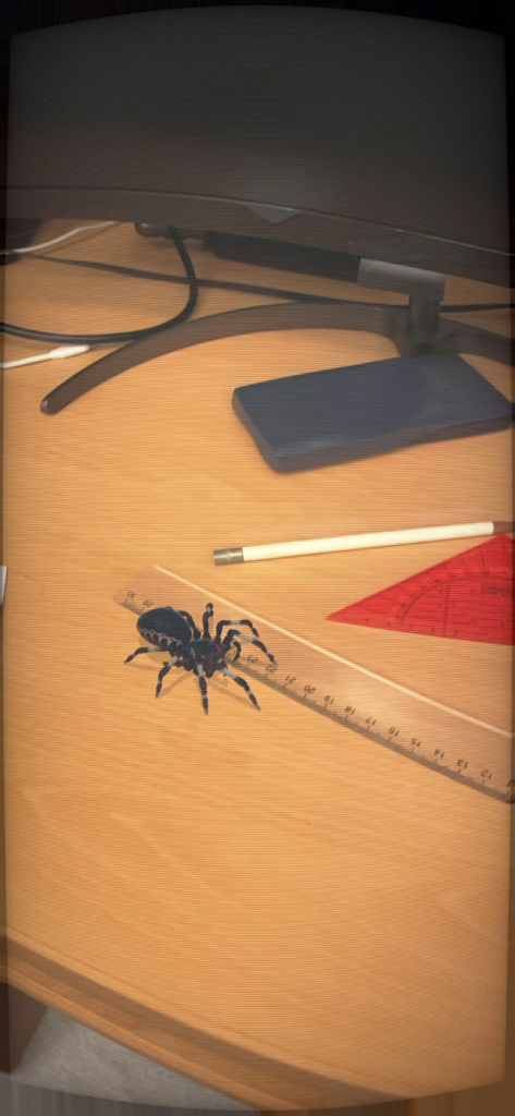 A realistic augmented reality spider sitting on a ruler on a wooden desk