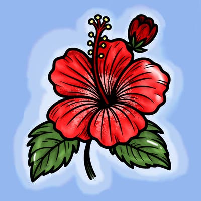 hibiscus flower