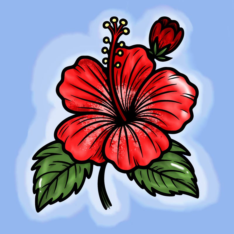 hibiscus flower