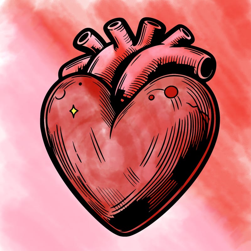 realistic heart