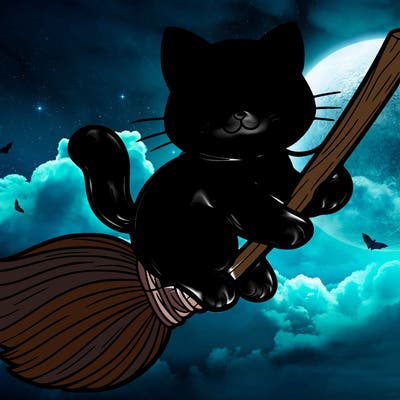 cat on a broom