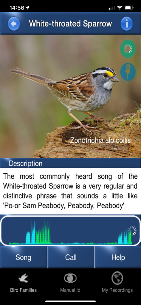 Interfaz de la aplicación Bird Song Id USA que muestra el perfil de un Gorrión de Garganta Blanca con su descripción del canto y espectrograma de audio