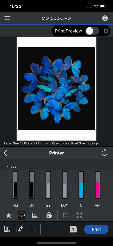 Epson Print Layout - Interface of Epson Print Layout app showing a photo preview and printer ink levels