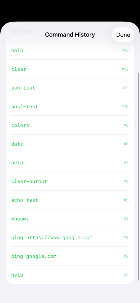 SwiftyTerminal command history screen showing a list of executed terminal commands