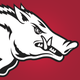 Arkansas Razorbacks